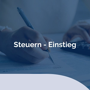 Steuern.png